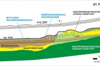 Ausschnitt Bodenlängsprofil Tunnel Atzenbrugg