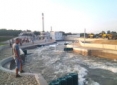 Wildwasserstrecke Donauinsel, Wien